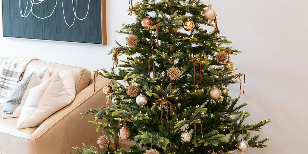 Skin Pharm Franklin's Holiday Open House