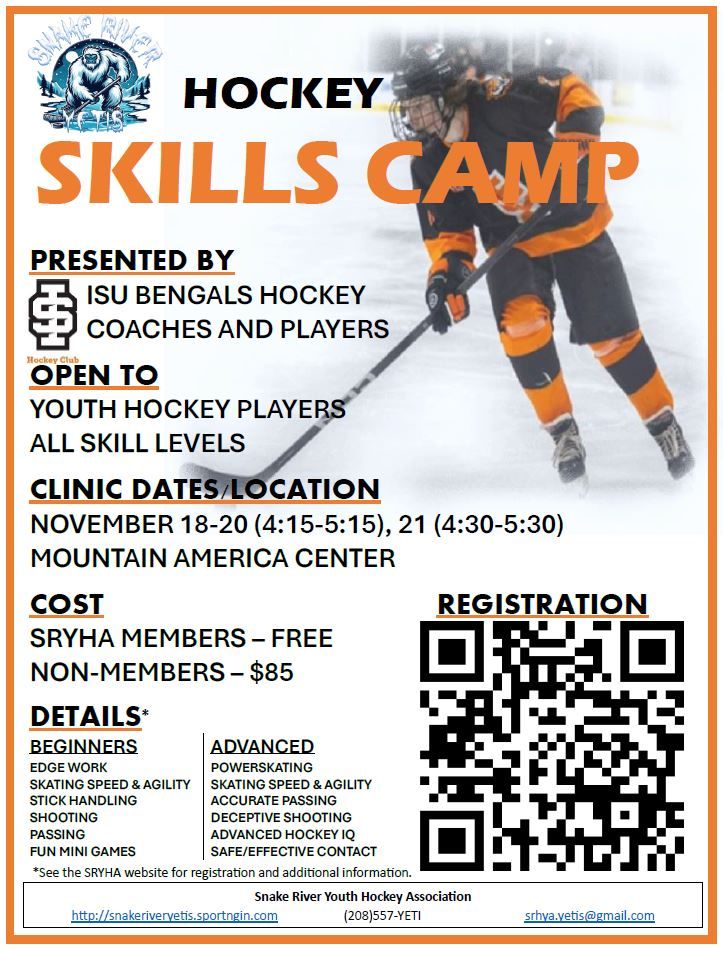 Hockey Skills Camp