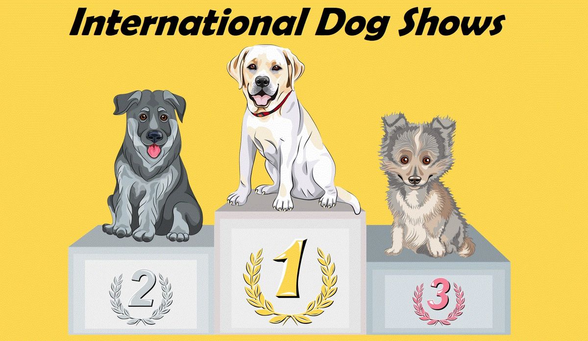 IABCA's 2024 Cornhusker Sieger International Dog Show