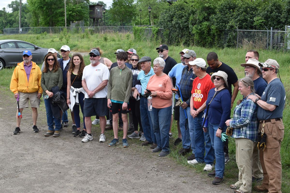 Invasive Species Removal at Chapel Island