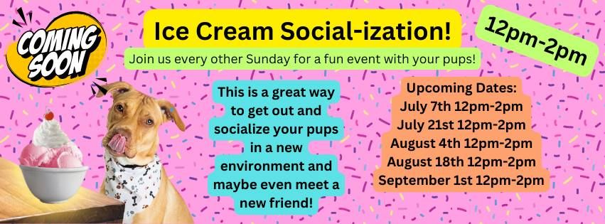 Ice Cream Social-ization