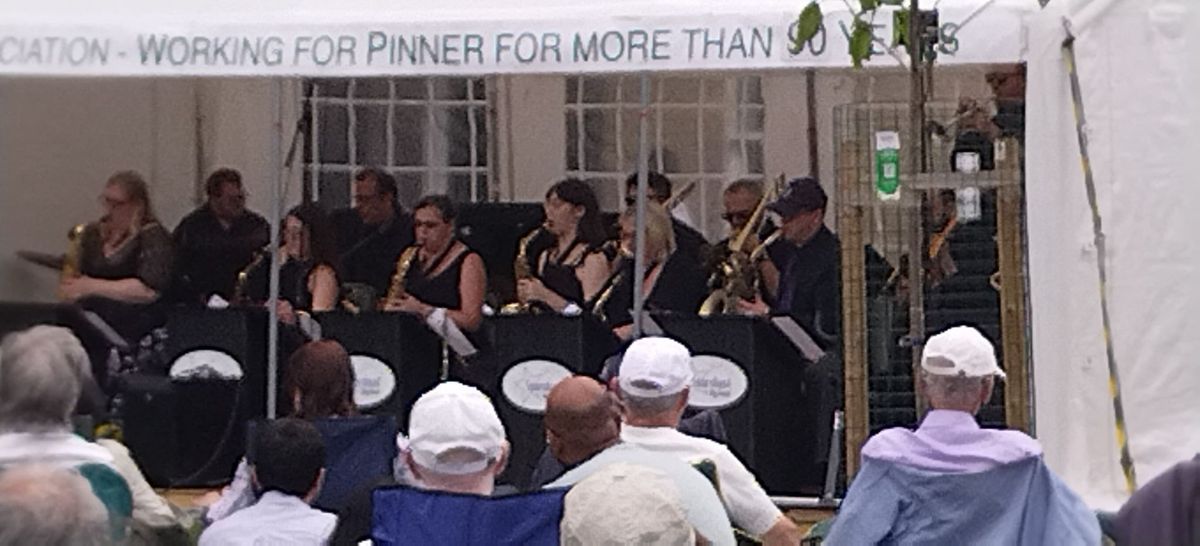 Concert In the Park - Stardust Big Band