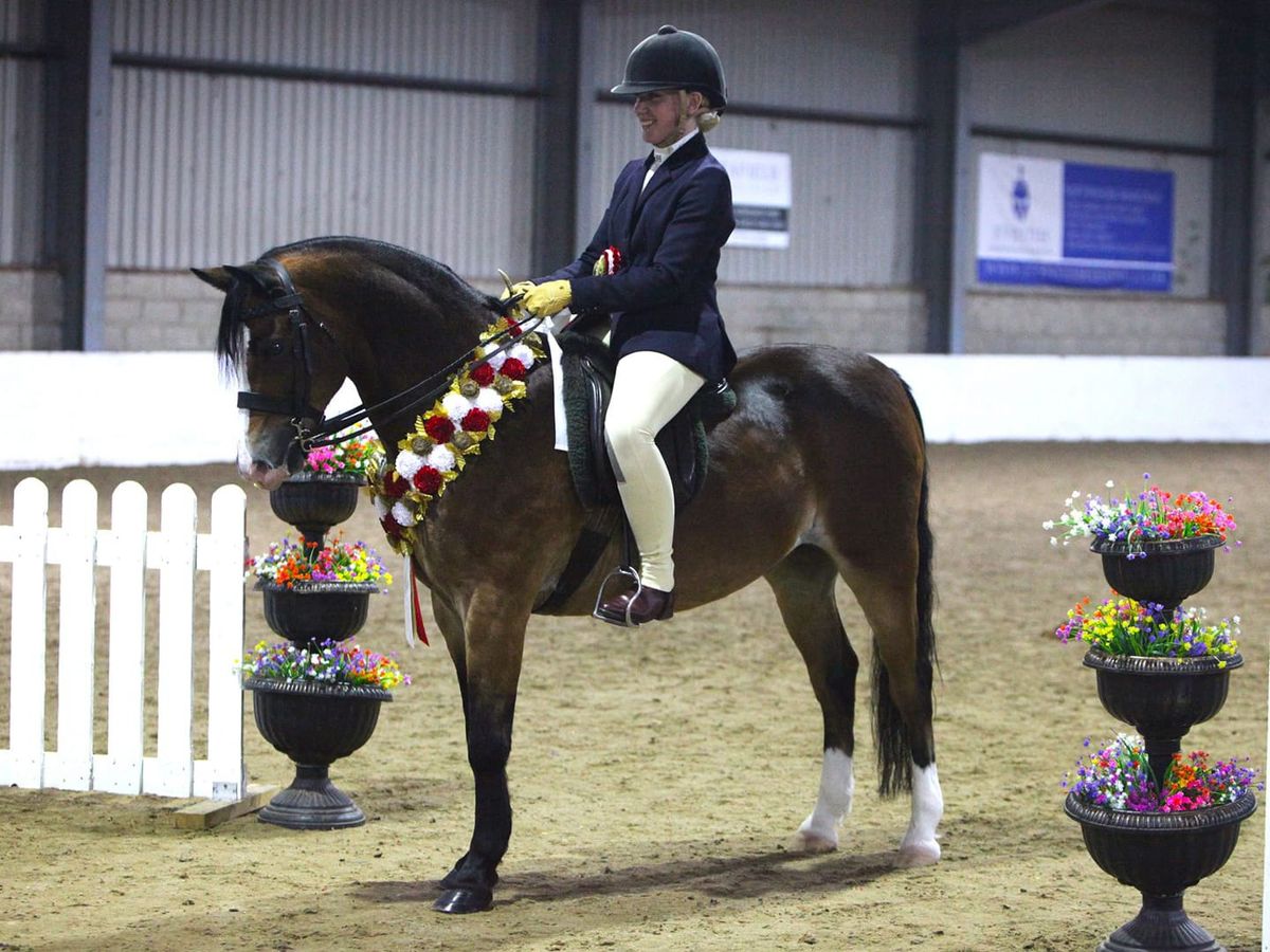 THE EAST ANGLIA HORSE SHOW