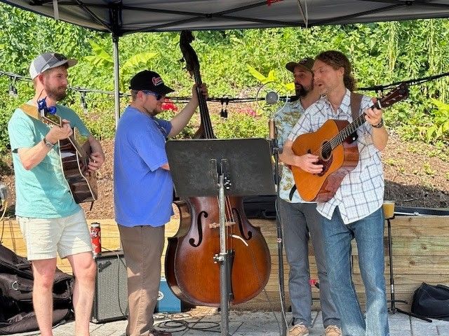 Live Music - DMV Bluegrass Collective