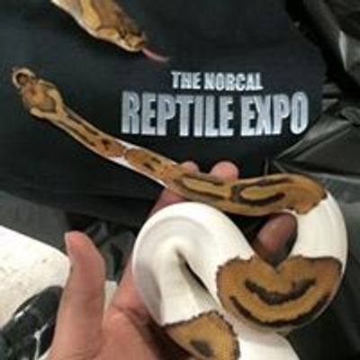 Norcal Reptile Expo