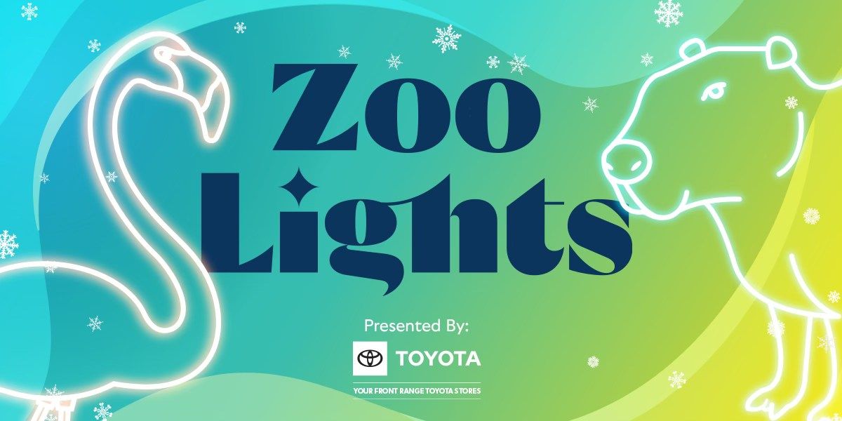 Zoo Lights