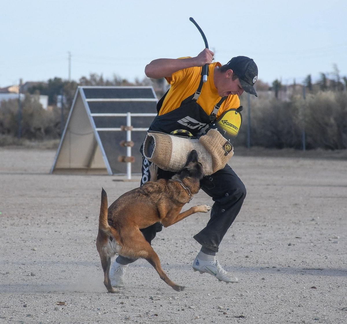 Pro-Tek Dog Sports Association WDA Trial