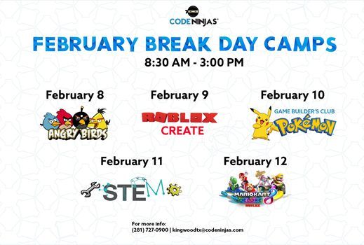 February Break Day Camps Code Ninjas Kingwood 8 February 2021 - humble code roblox