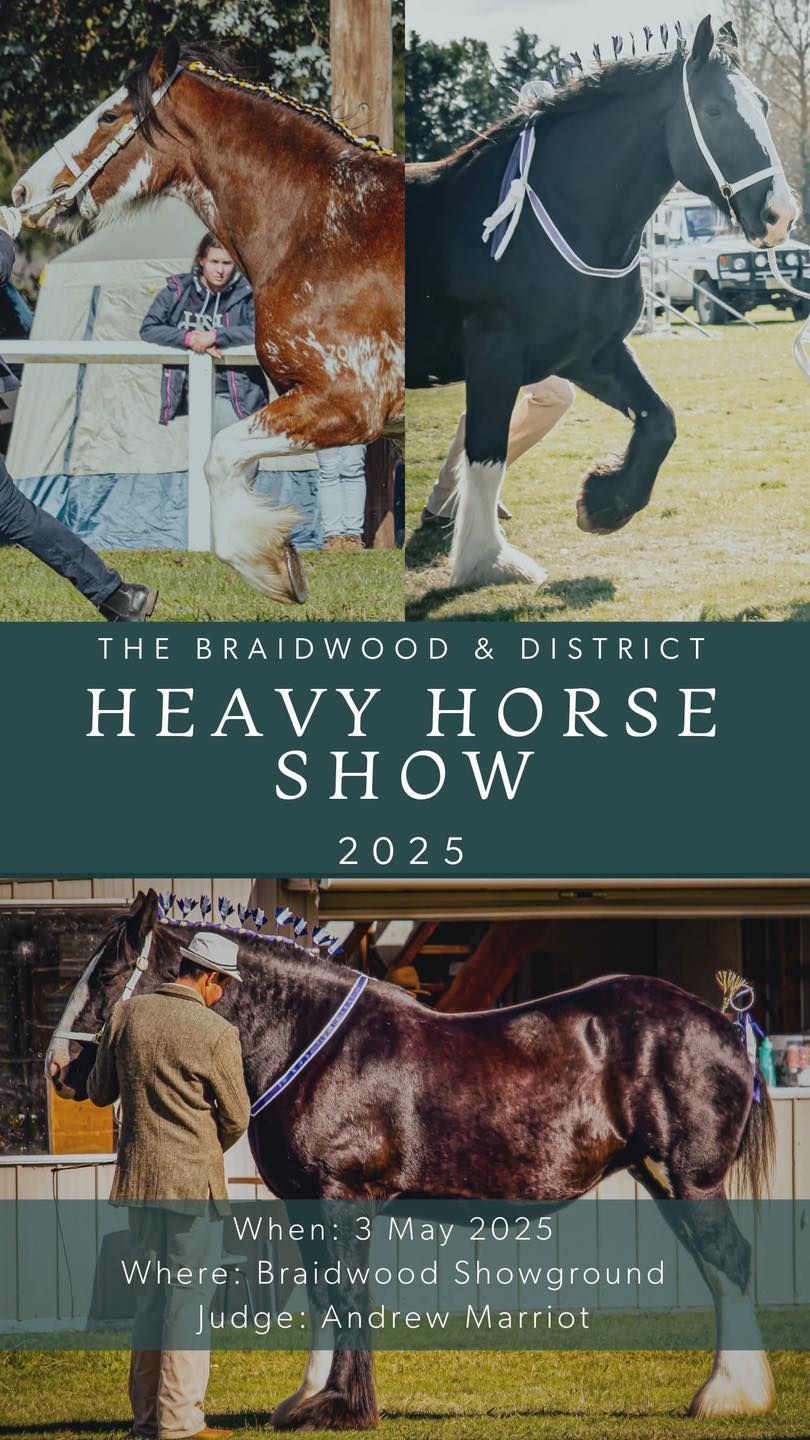 Braidwood & District Heavy Horse Show 2025