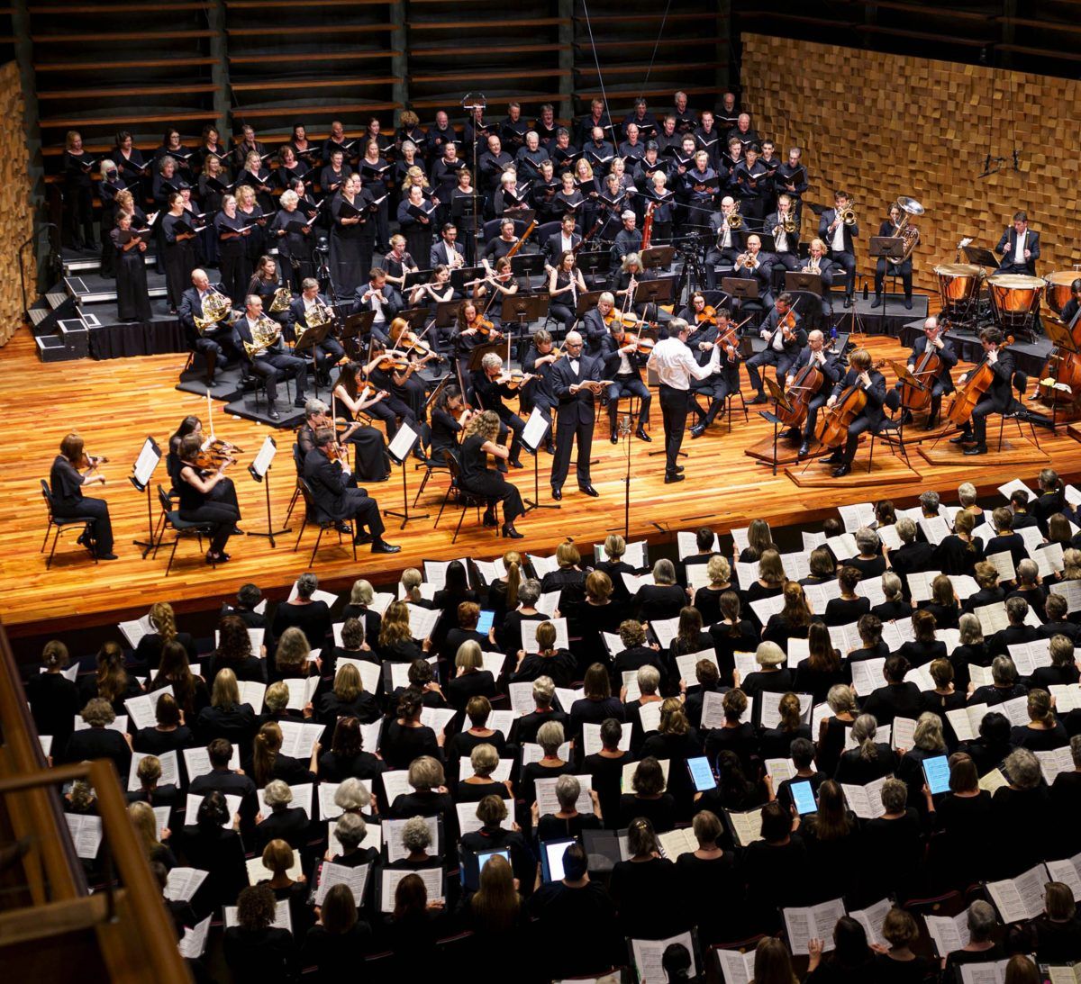 Bach's Christmas Oratorio | Tasmanian Symphony Orchestra