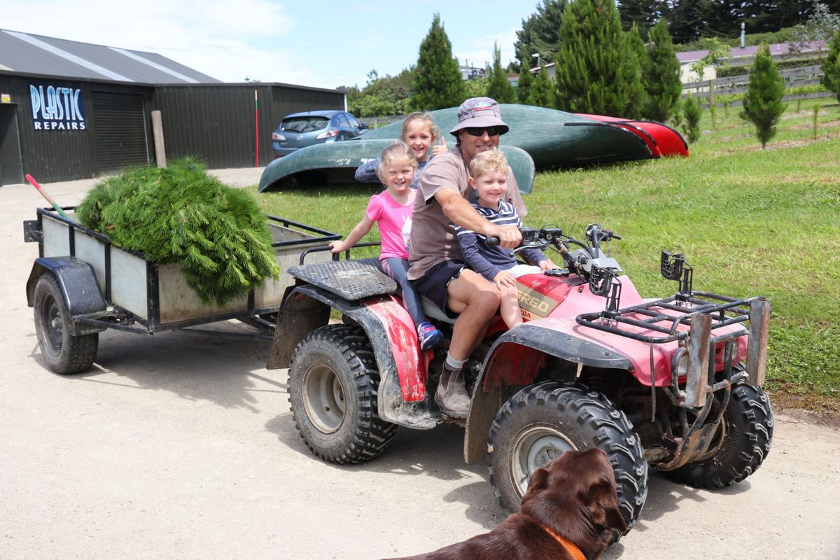 Hylton Ridge Christmas Trees - Opening Day