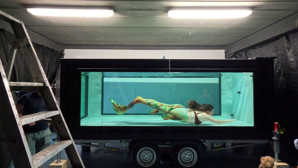 Aquarium experience Antwerp! For the first time ever you can swim in a mobile performance aquarium.