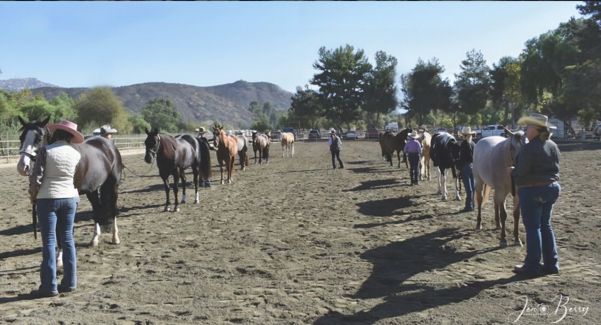 Ranch Riding Clinic 