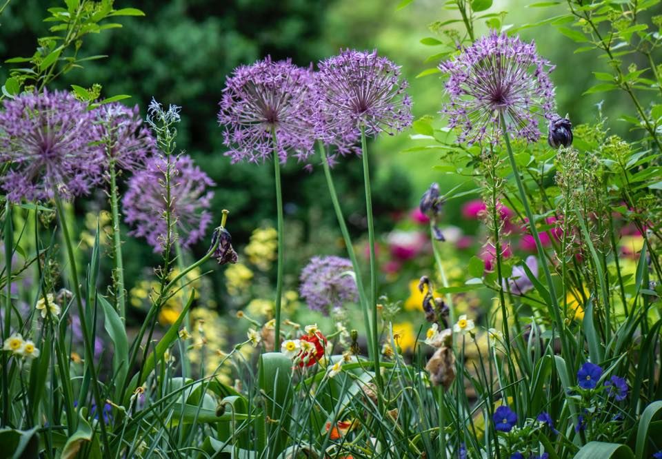 Gardening with the Masters Expo