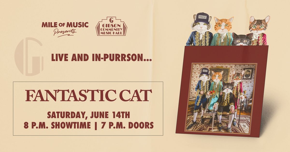 Fantastic Cat: Live and In-Purrson