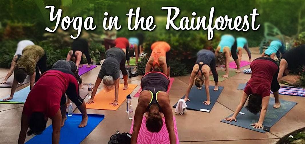 Butterfly Wonderland's Yoga in the Rainforest