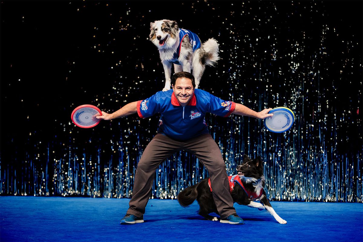 Chris Perondis Stunt Dog Experience