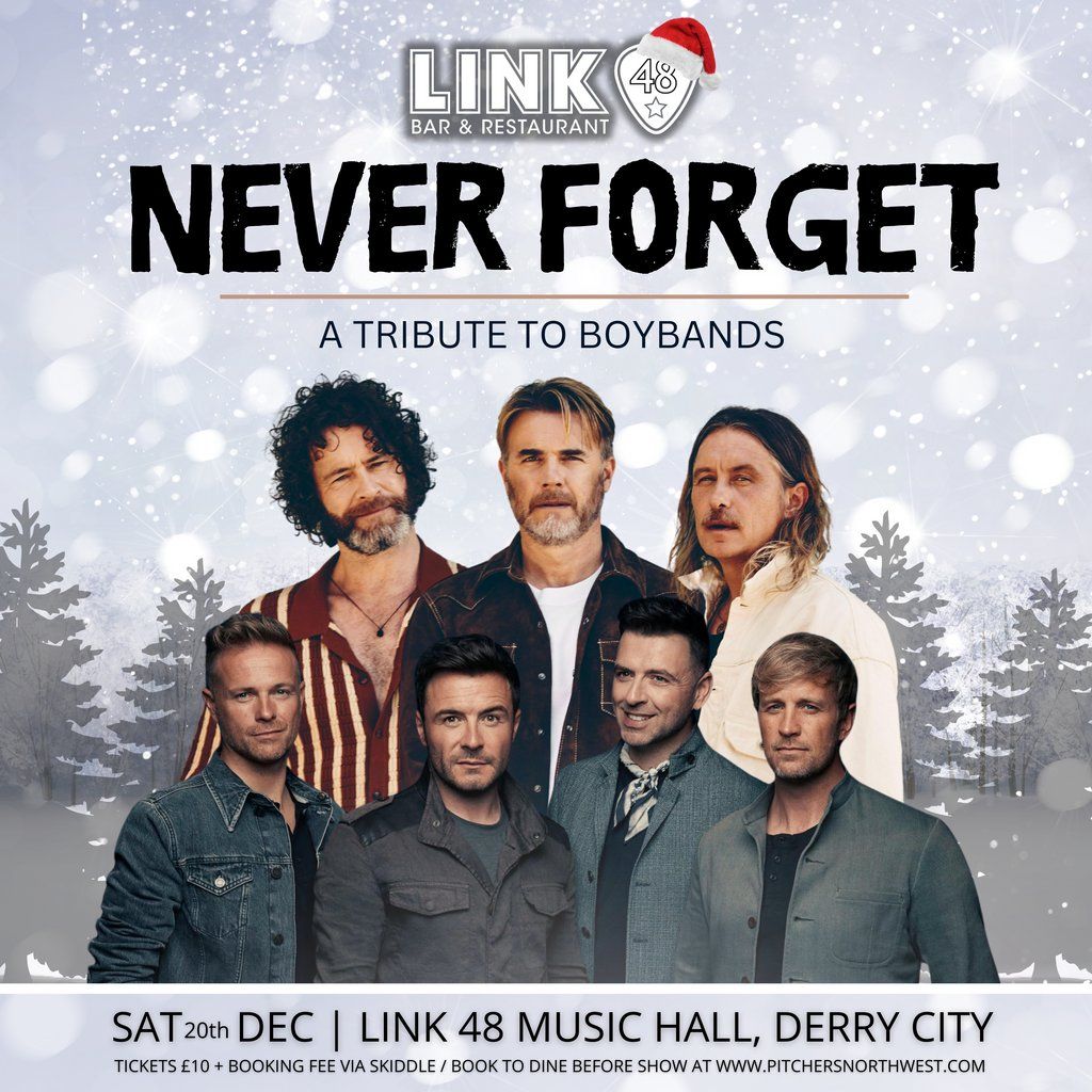 Never Forget: Boybands Tribute, Live at Link 48