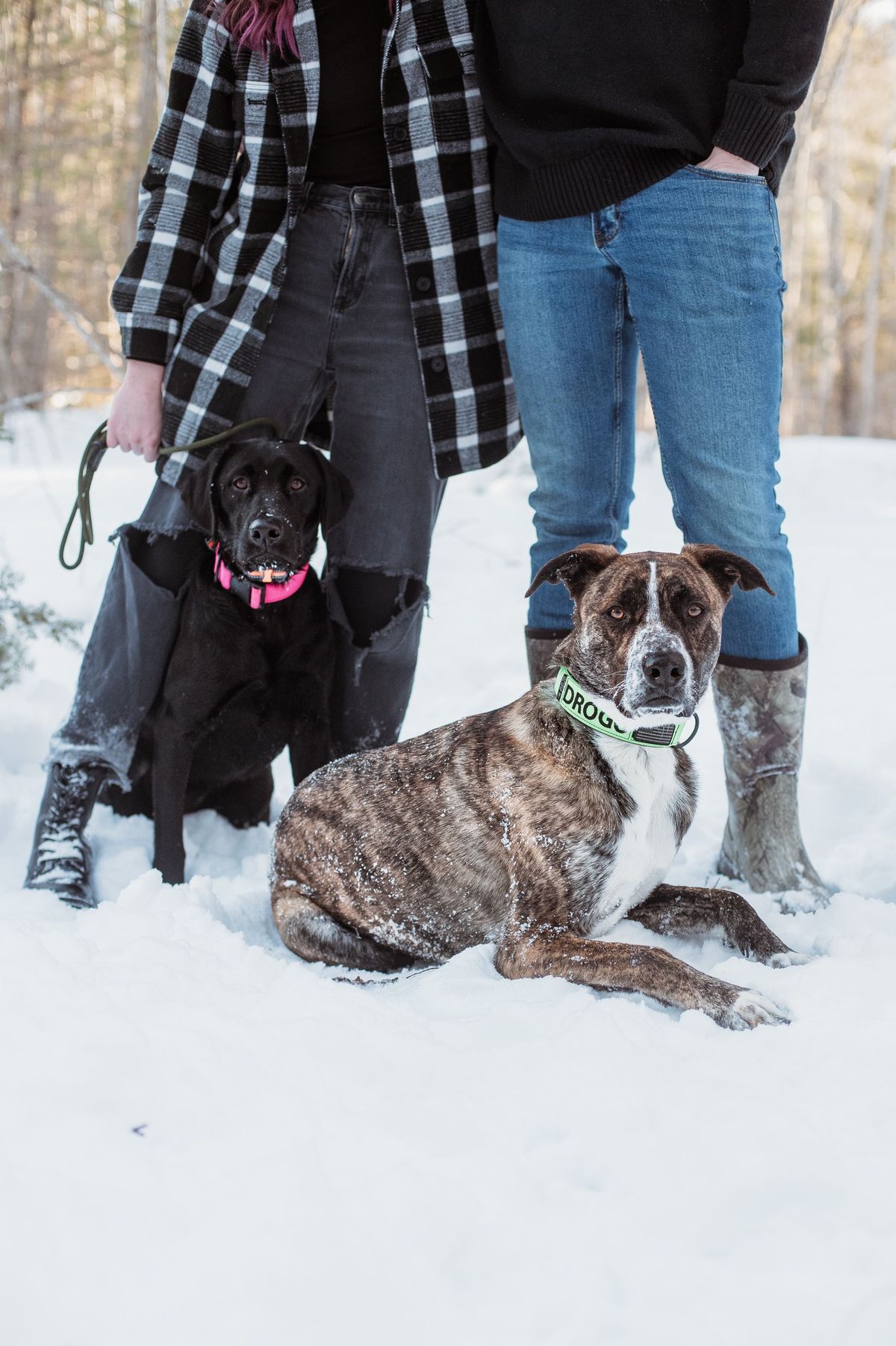 Winter Mini Sessions \u2744\ufe0f