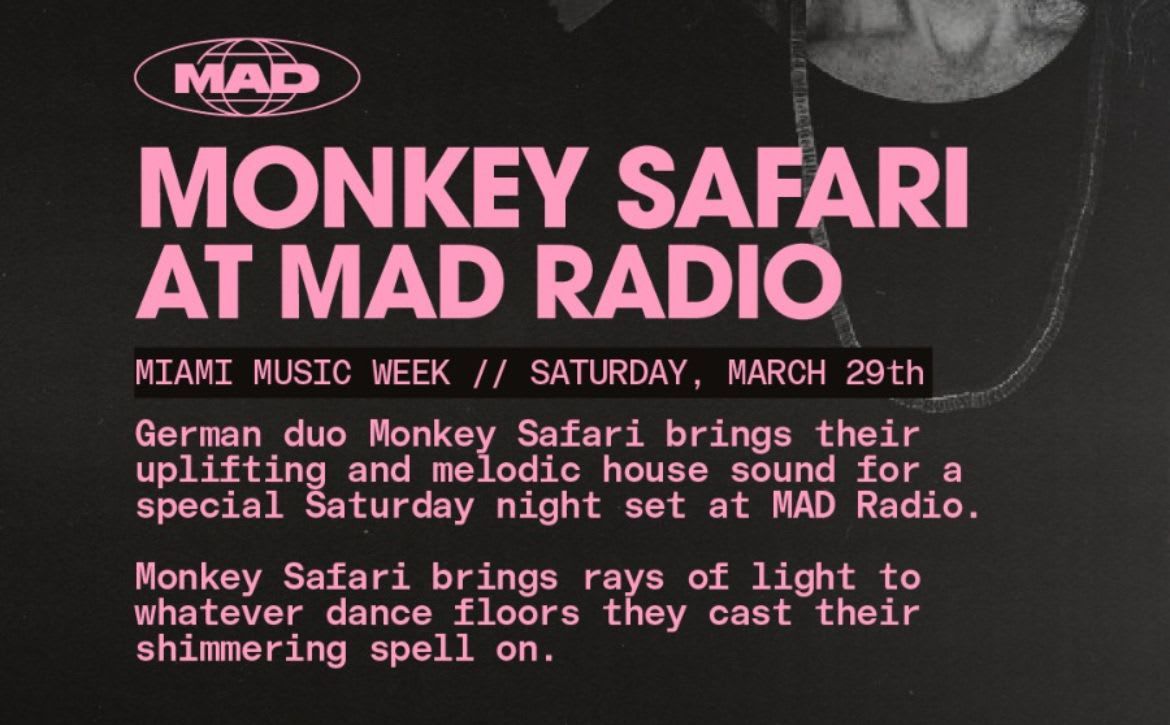 Monkey Safari