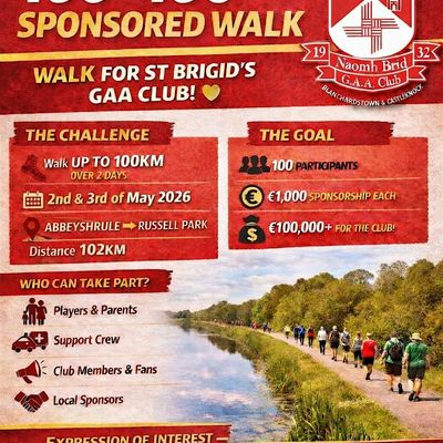 St Brigids GAA Dublin