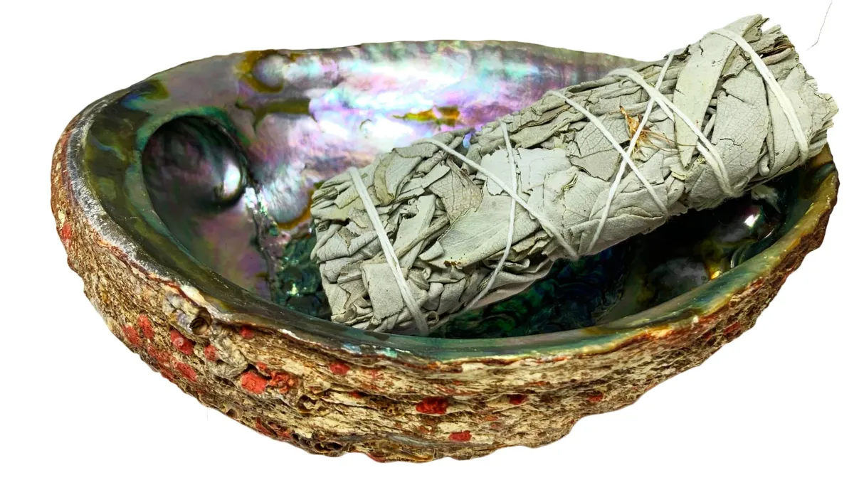 Sage, Shell, and Smudge