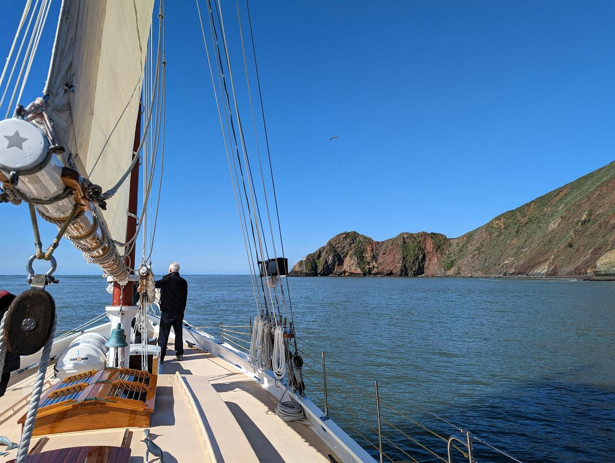 Memorial Day Wildlife Sail under the Golden Gate Bridge 2026