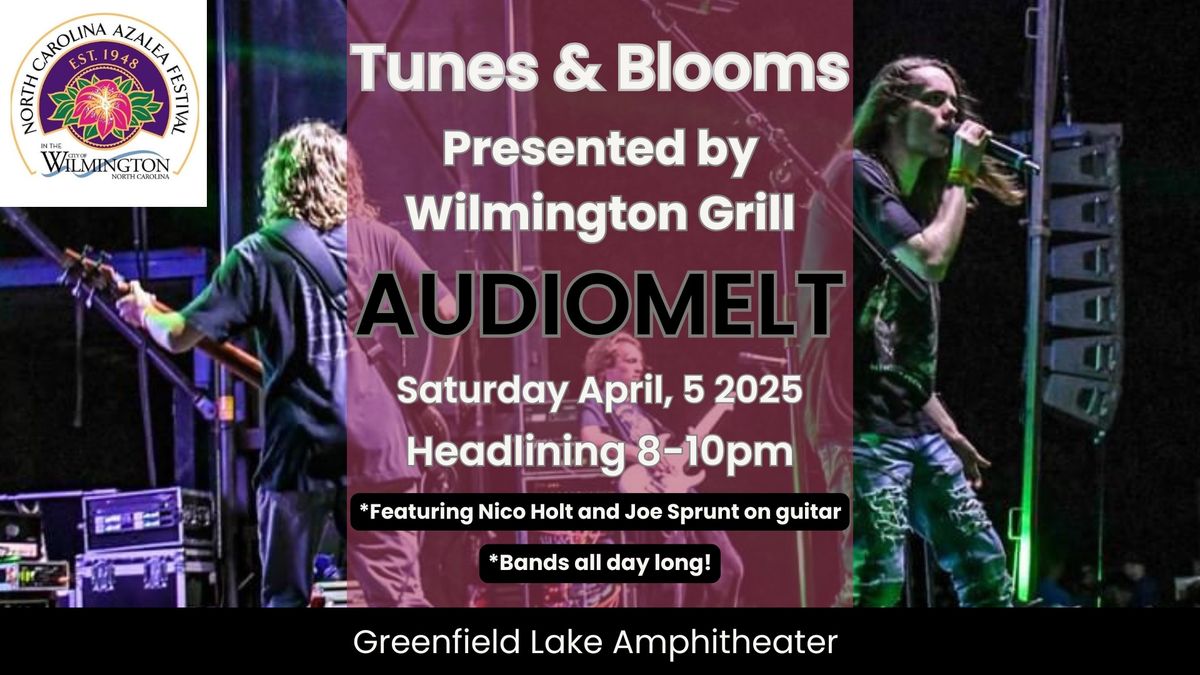 Audiomelt Headlining Tunes & Blooms 