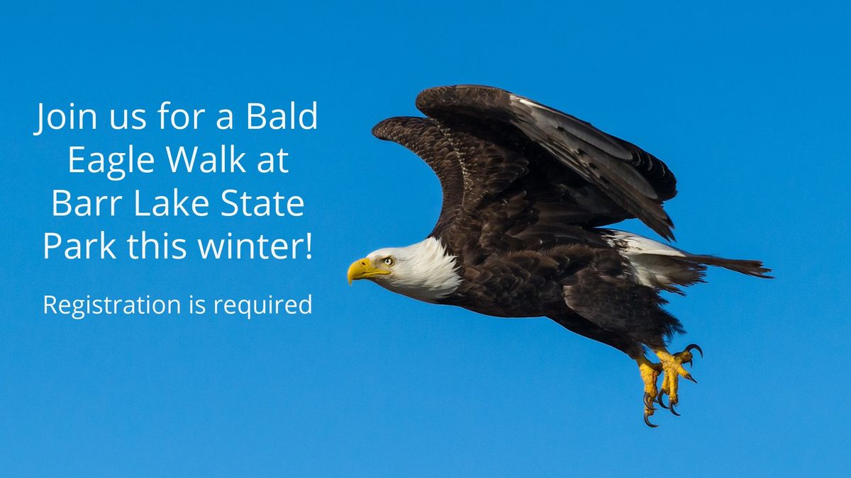 Bald Eagle Walk