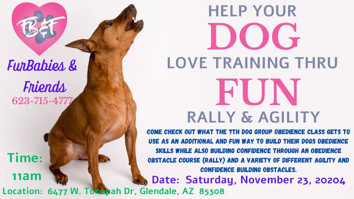 Build Your Dogs Obedience & Confidence through an Obedience Obstacle & Agility Courses