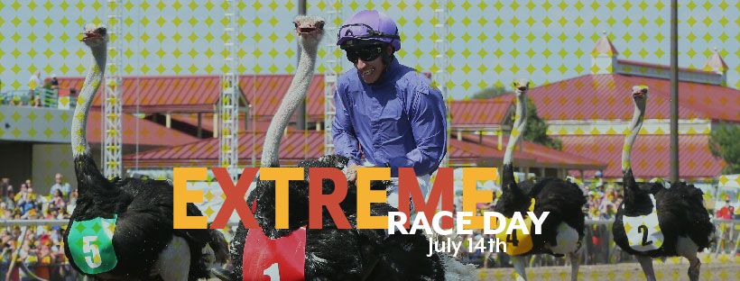 Extreme Day at Canterbury Park