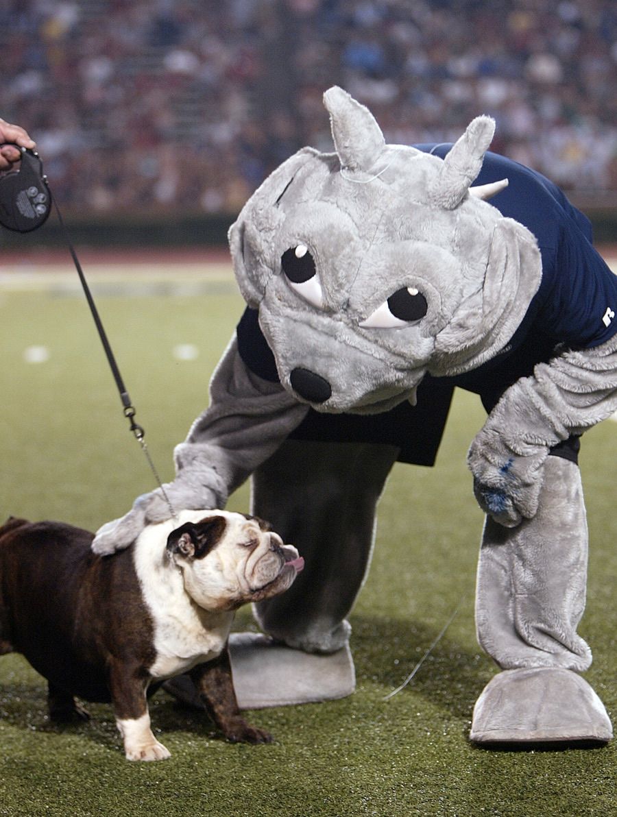 Samford Bulldogs at Furman Paladins Football