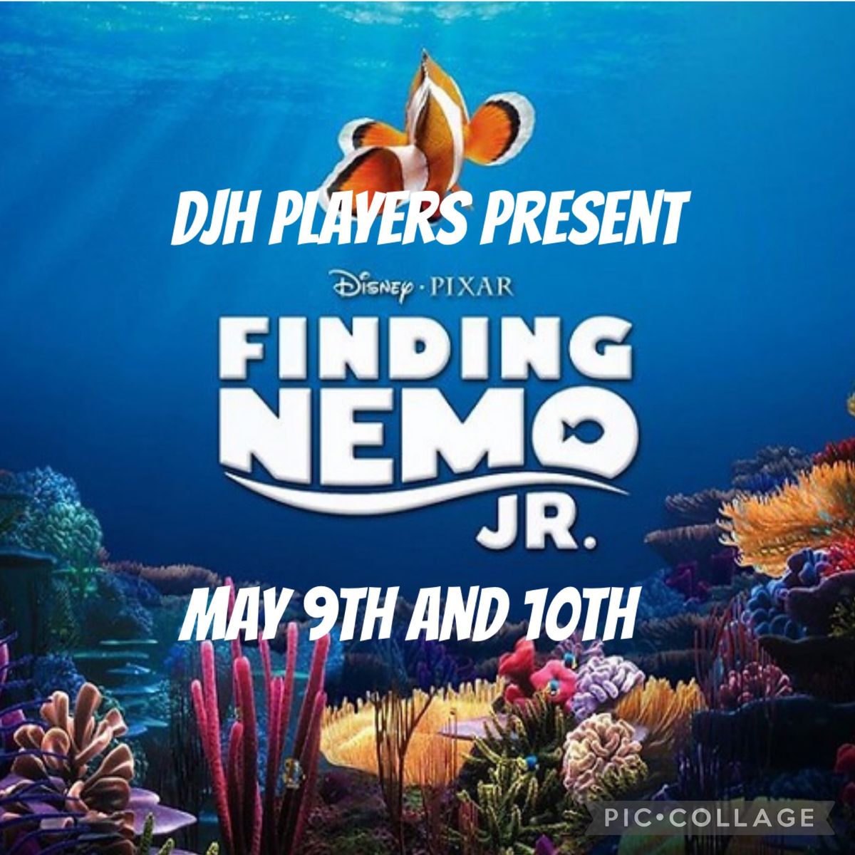 Finding Nemo Jr. the Musical