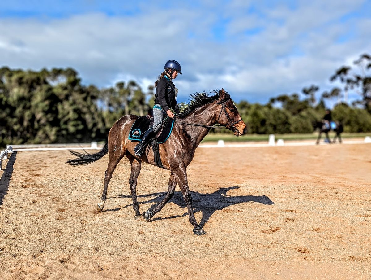 Lillico Pony Club November Rally 2024