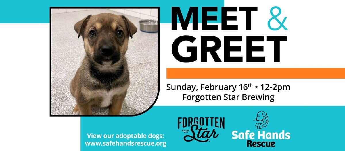 Safe Hands Rescue Meet & Greet at Forgotten Star Brewing