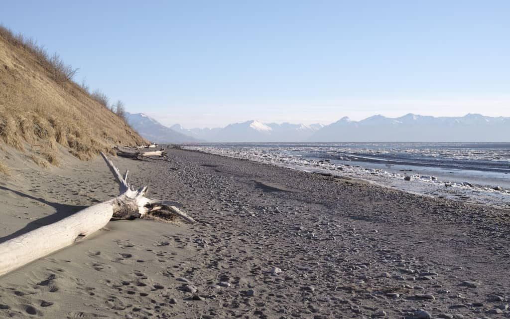 Evening Hike and Beach Picnic