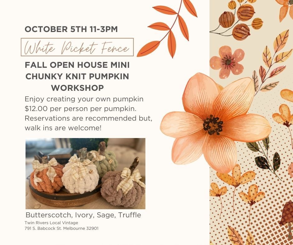 Mini Chunky Knit Pumpkin Workshop ~ 10\/5\/2024