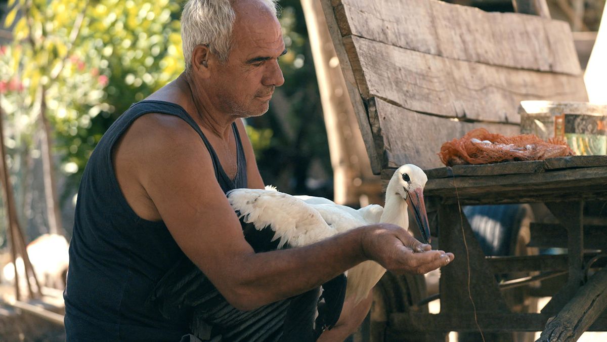 Toronto International Film Festival: The Tale of Silyan