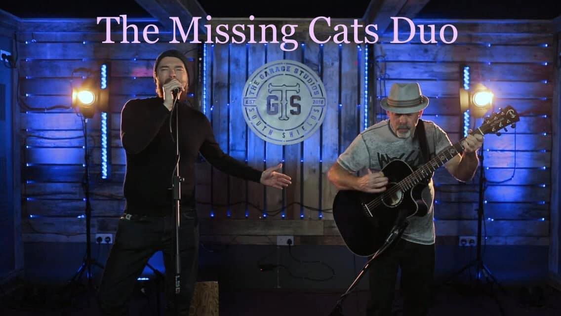 The Missing Cats in Durham 