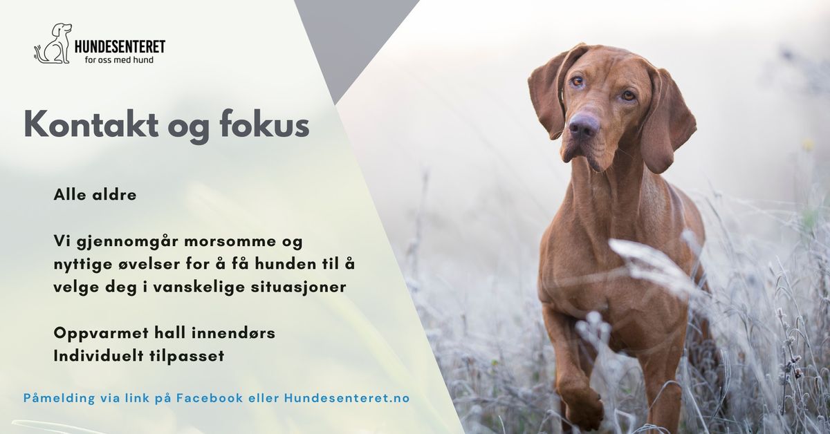 Kontakt og fokus helgekurs (ledige plasser)