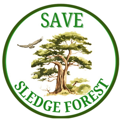 Save Sledge Forest