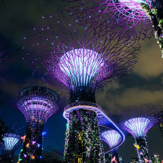 Marina Bay Night Cycling Tour