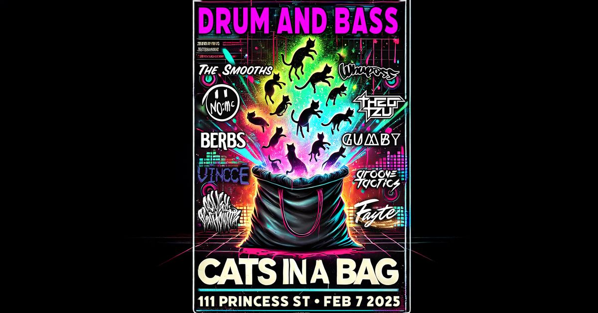 \ud83d\udc08CATS IN A BAG!  DRUM & BASS SHOWDOWN\ud83e\udd77