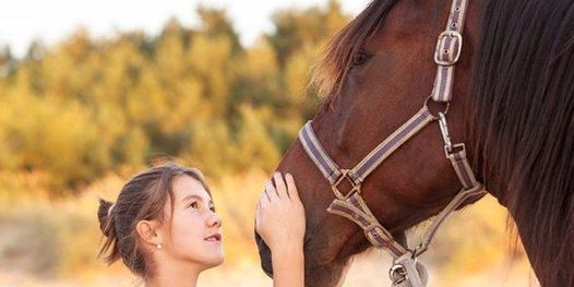Healing with Horses - Gold Star Child Equine Clinic