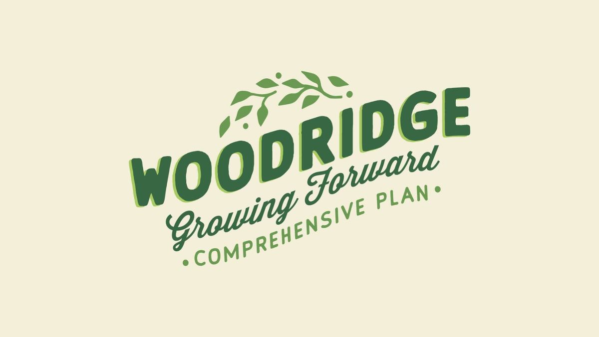 Woodridge Comprehensive Plan Engagement Tour - Central Session