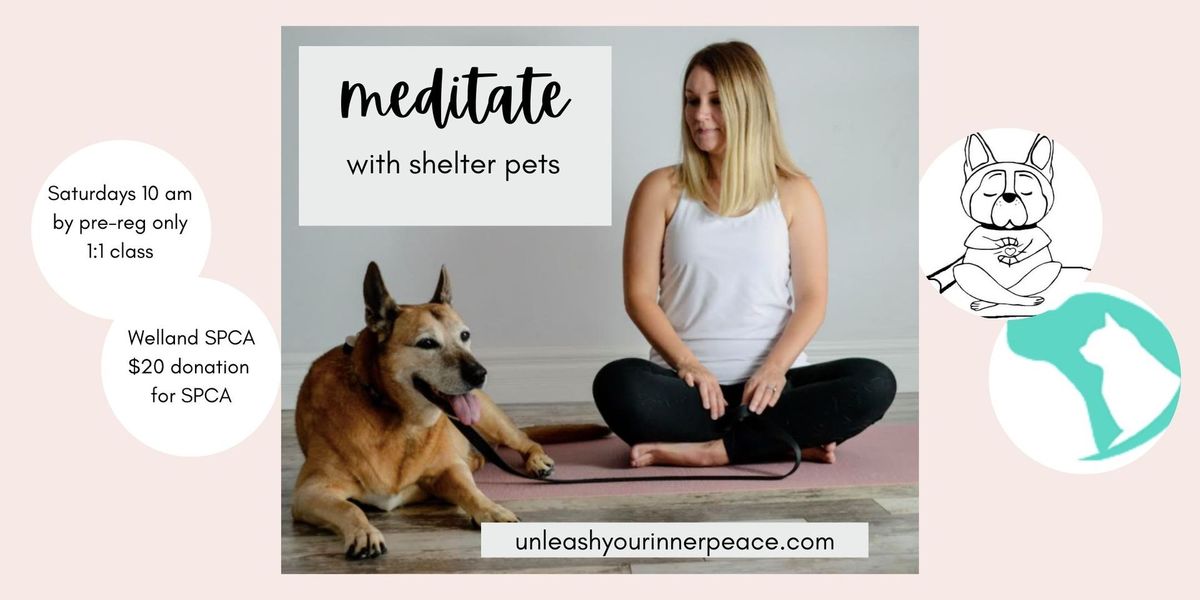 May 18-Meditate with Shelter Pets with Unleash Your Inner Peace (new time: 10:15 am)