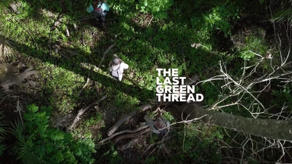 Art After Dark | Museum Admission + Film Screening: The Last Green Thread