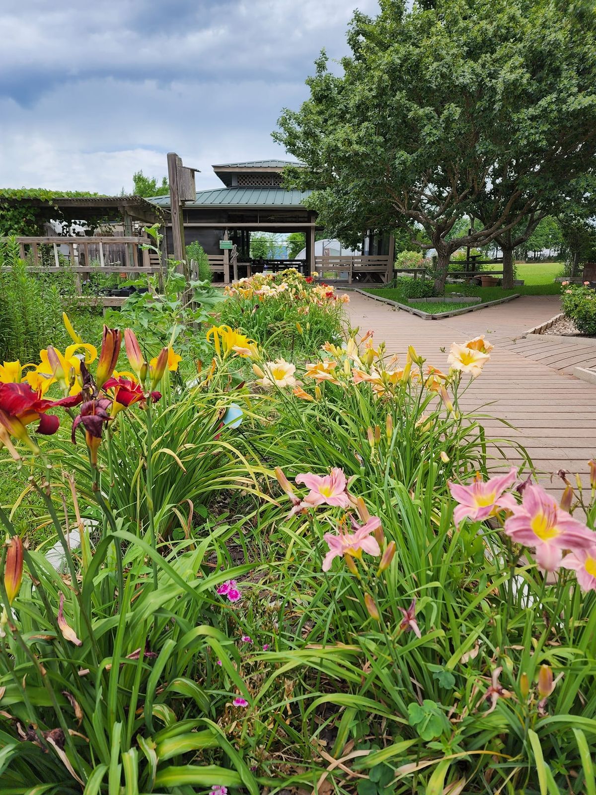 SPRING PLANT SALE