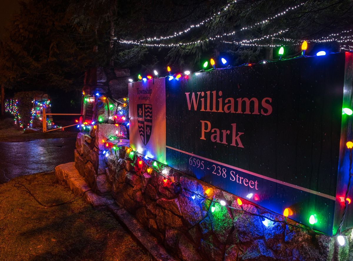 Holiday Lights in Williams Park