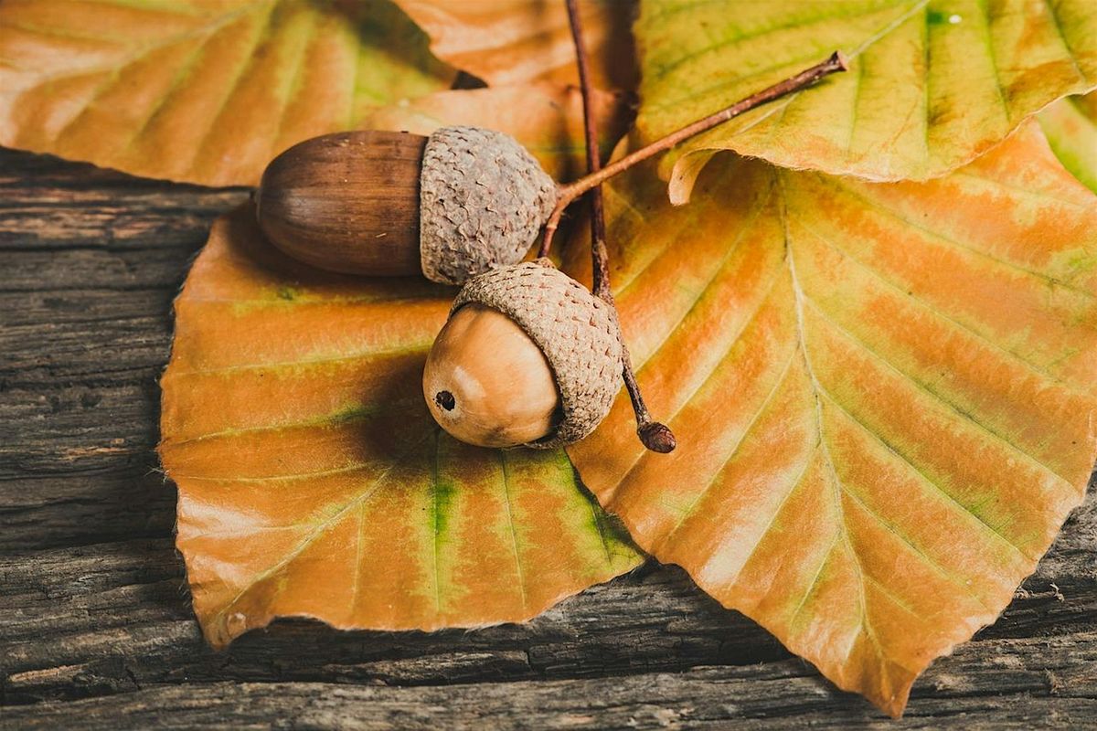 Autumn Wreath Workshop at Middleport Pottery